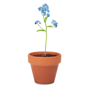 Branded Terracotta Pot with Seeds