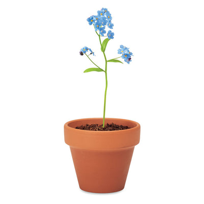Branded Terracotta Pot with Seeds
