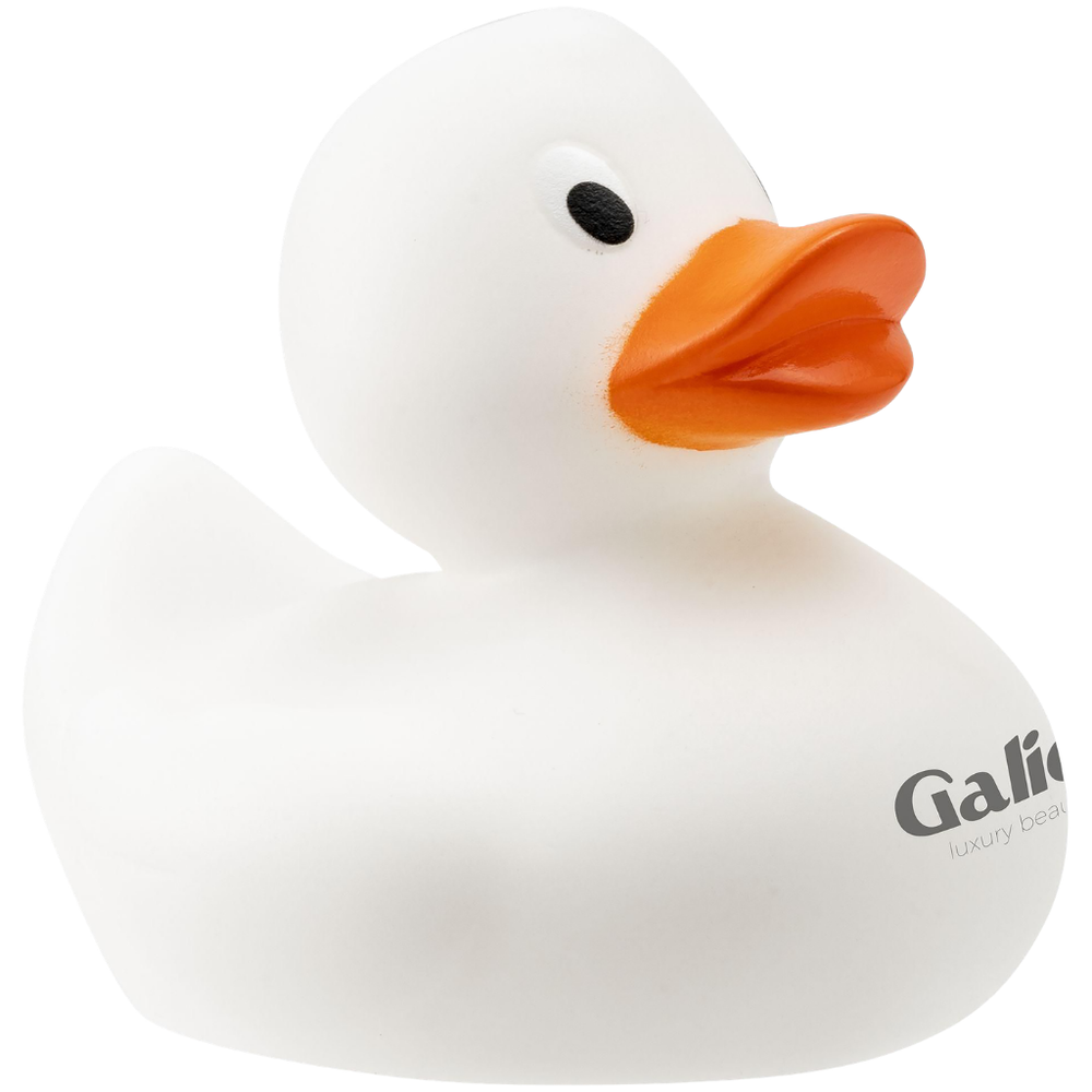 Donald Rubber Duck