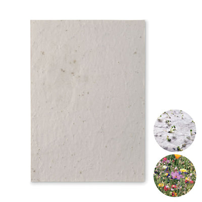 Branded A5 wildflower seed paper sheet