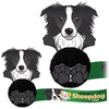 Dog Promo Pals Pals Border Collie