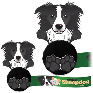 Dog Promo Pals Pals Border Collie