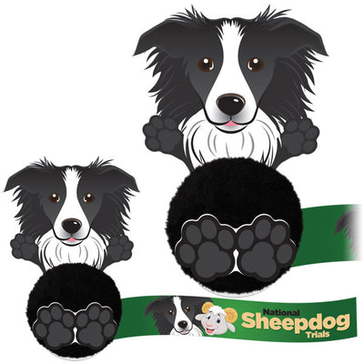 Dog Promo Pals Pals Border Collie