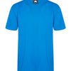 Orn Plover Premium T-Shirt