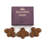 Box of 3 Bee Shaped Seed Bombs