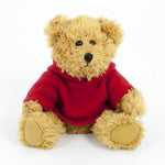 Coloured Hoodie Bear