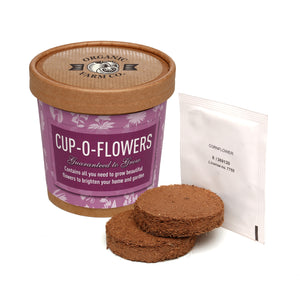 Seed Pot Cup'o Cardboard Pot Corn Flower
