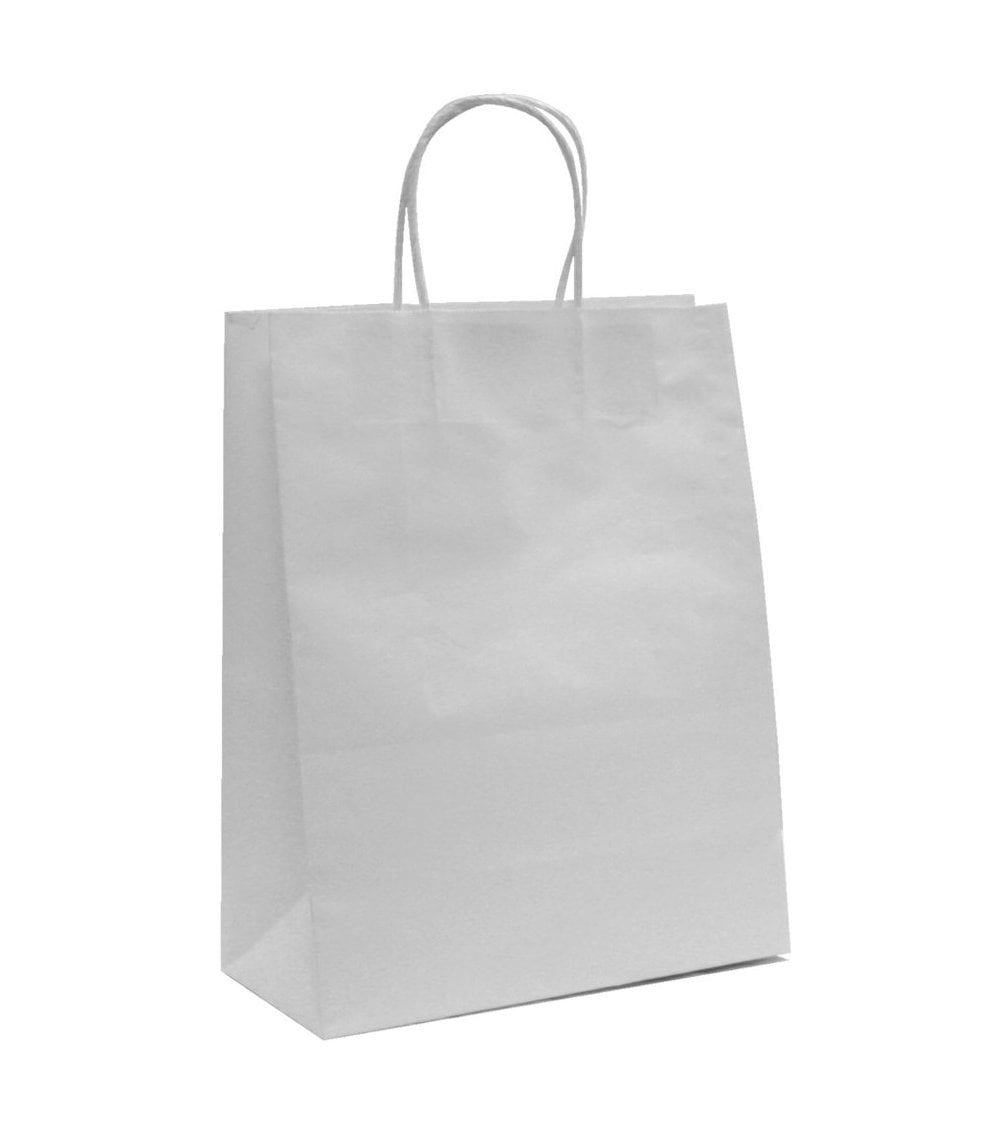Branded A4 Paper Bag - Twisted Handles
