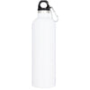 Atlantic 530 ml vacuum insulated bottle