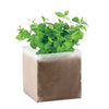Branded Compost with seeds