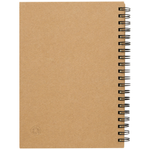 Mendel recycled notebook