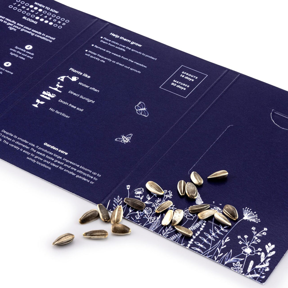 Seed Wallet