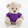 Coloured T-Shirt Bear III