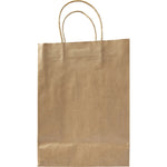 Branded Ground Paper bag (medium)