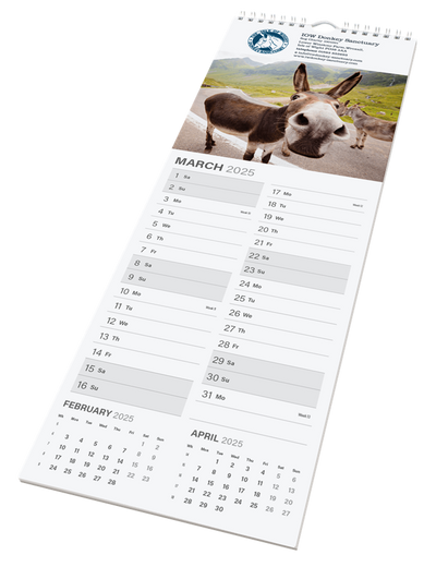 Calendars - Midi Wall.