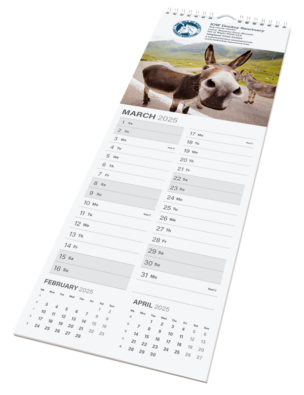 Calendars - Midi Wall.