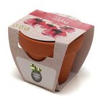 Growing Gift Poppy