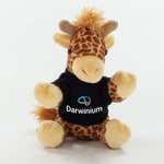 Branded Coloured T-Shirt Animal