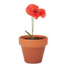 Branded Terracotta Pot with Seeds