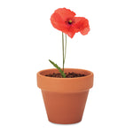 Branded Terracotta Pot with Seeds