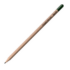 Biodegradable Sprout Pencils