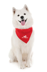 Branded Large Satin Pet Bandana