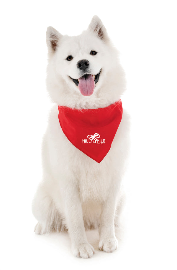 Branded Large Satin Pet Bandana