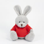 Branded Coloured Hoodie Animal