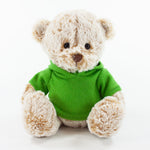 Coloured Hoodie Bear