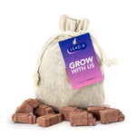 Bag of 10 Van Shaped Seed Bombs
