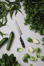Branded VINGA Kaiser Santoku Knife