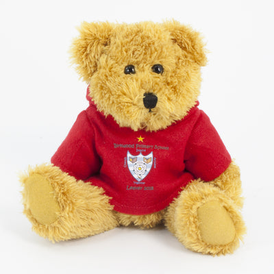 Coloured Hoodie Bear