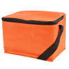 Branded Griffin 70D Nylon 6 Can Cooler Bag With Zip and strap