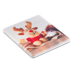 Branded Plastic sliding game