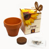Branded Flower Showbox