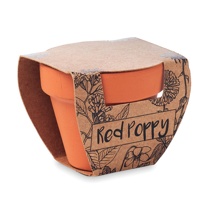 Branded Terracotta Pot with Seeds