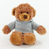 Coloured Hoodie Bear