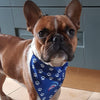 Branded Dog Bandana