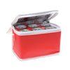 Nonwoven 6 can cooler bag