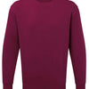 Anthem Organic Sweatshirt