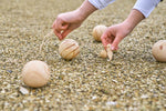 The Quillian - Wooden ball game