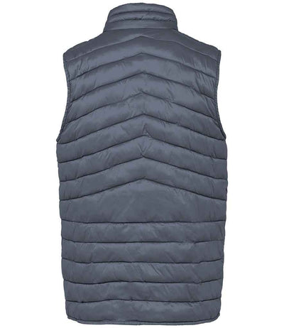 Native Spirit Light Recycled Bodywarmer Mineral Grey