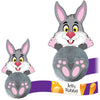 Animal Promo Pals Pals Rabbit