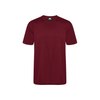 Orn Plover Premium T-Shirt