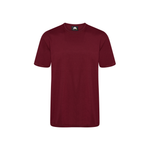 Orn Plover Premium T-Shirt