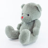Coloured T-Shirt Bear III 25cm Red Nose Bear