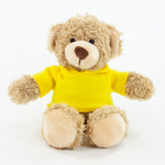 Coloured Hoodie Bear