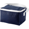 Branded Spectrum 6-can cooler bag 4L