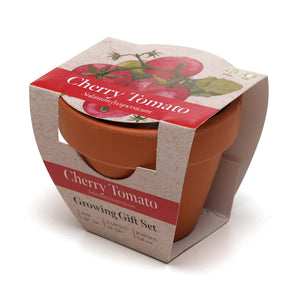Growing Gift Cherry Tomato
