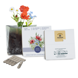Essentials Letterbox Gardens
